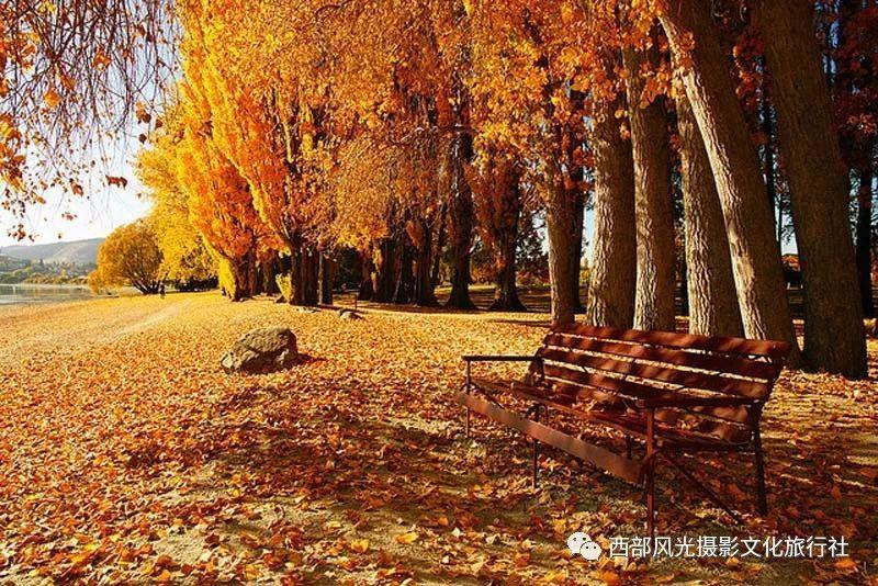 开启知识星球平台,深入了解姐姐拿奖了怎么发朋友圈的最佳平台